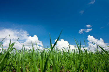 Similar image 676057