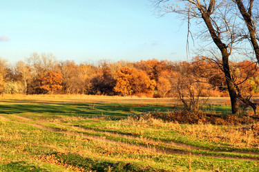 Similar image 676066