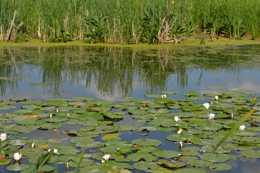 Similar image 676076