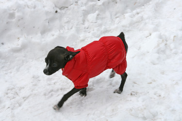 Similar image 676090