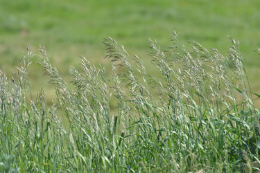 Similar image 676120