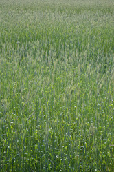 Similar image 676122