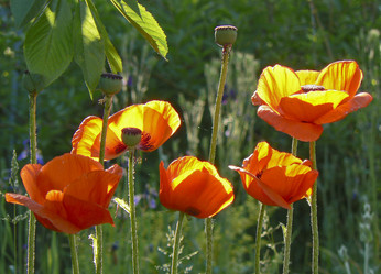 Similar image 676124