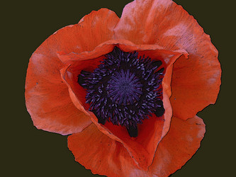 Similar image 676125