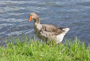 Similar image 676145