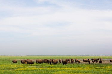 Similar image 676148