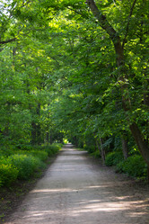 Similar image 676150