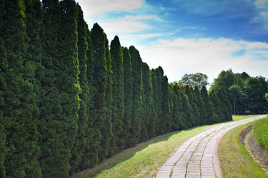 Similar image 676151