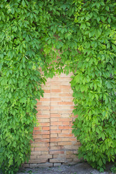 Similar image 676152