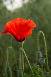 Similar image 676153