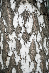 Similar image 676158