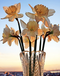 Similar image 676308