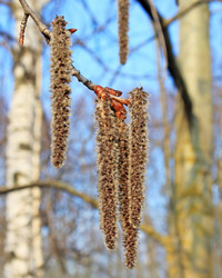 Similar image 676316