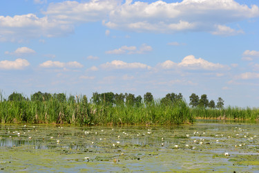 Similar image 676332