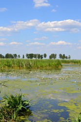 Similar image 676333