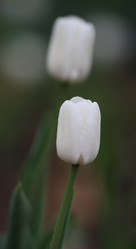 Similar image 676410