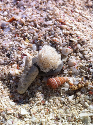 Similar image 676418