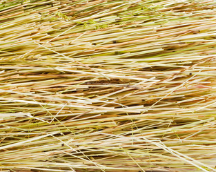 Similar image 676421