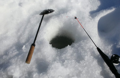 Similar image 676423