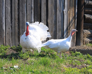 Similar image 676424