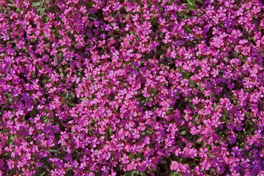 Similar image 676432