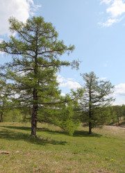 Similar image 676460