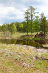 Similar image 676461