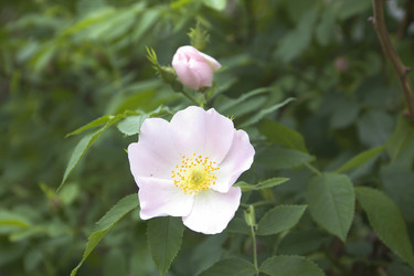 Similar image 676624