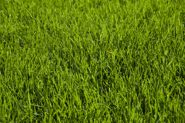 Similar image 676698