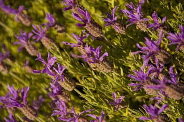 Similar image 676699