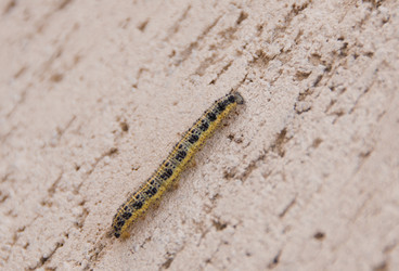 Similar image 676700