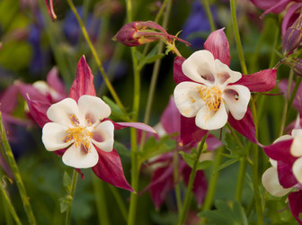 Similar image 676701