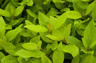 Similar image 676706