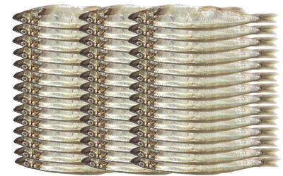 Similar image 676756