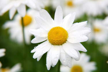 Similar image 676767