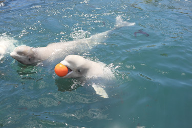 Similar image 676798