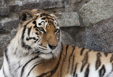 Similar image 676812