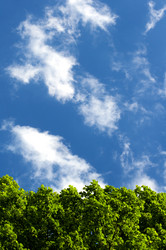 Similar image 676813