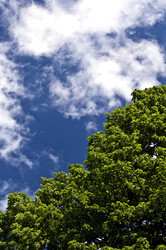 Similar image 676814