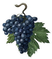 Similar image 676893