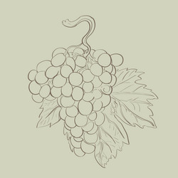 Similar image 676896