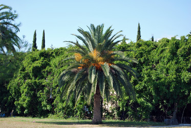 Similar image 676940