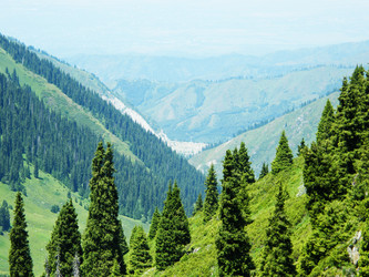 Similar image 676977