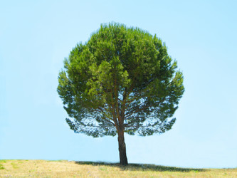 Similar image 676979