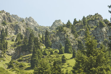 Similar image 676996