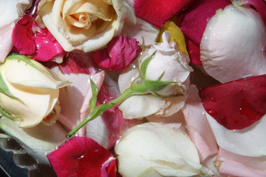 Similar image 677004