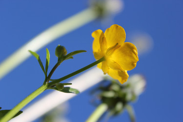 Similar image 677043