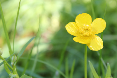 Similar image 677055