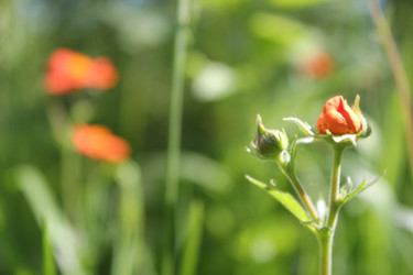 Similar image 677060