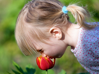 Similar image 677276